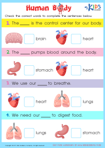 Internal Organs Worksheet, Printable PDF for Kids